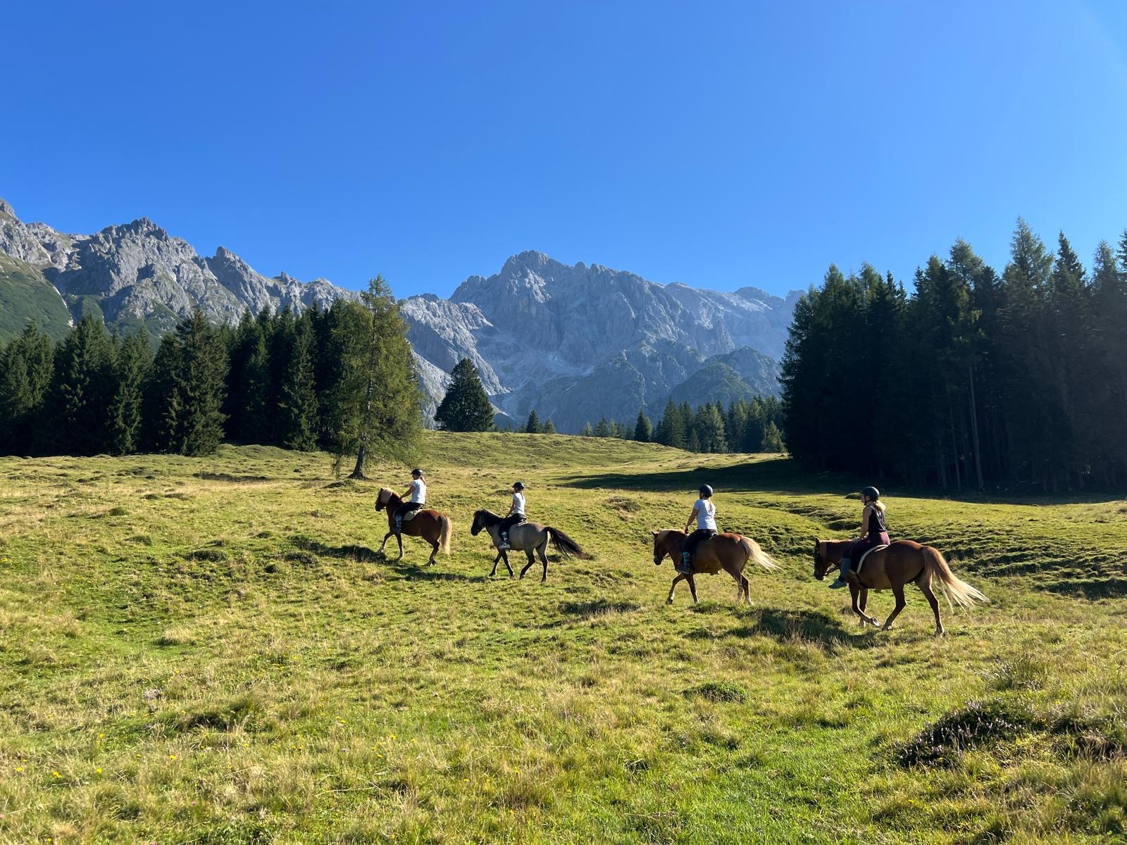 Ausritt am Hochkönig – Reiter auf Islandpferden in alpiner Landschaft